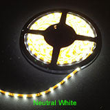 3528 1-5m - LED Striplight 12V 120 LEDs per m - Eden illumination - Kitchen Lighting & Commercial Lighting