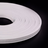 0410 Neon 1m/5m & 50m - IP67 LED Striplight 12V per m