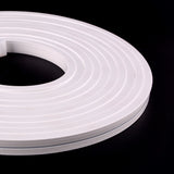 0612 Neon 1m/5m & 50m - IP67 LED Striplight 12V per m
