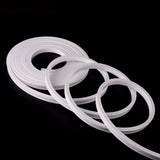 0612 Neon 1m/5m & 50m - IP67 LED Striplight 12V per m